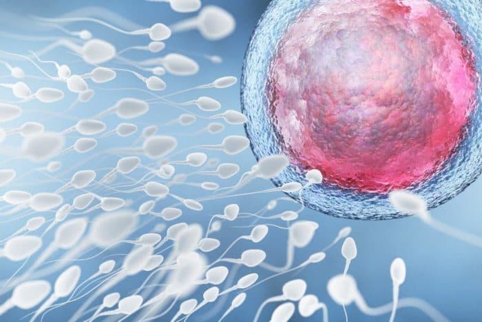 Spermos analizė yra vyrų vaisingumo testas
