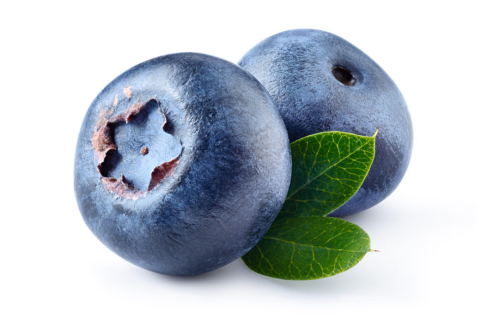 mėlynių vaisiai